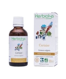 Cerisier 50mL BIO - Cerasus vulgaris / Prunus cerasus BIO, 50 ml